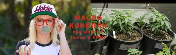 дживик Каменногорск