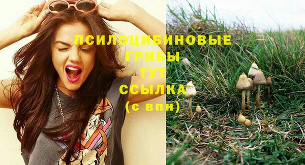 mix Каменка