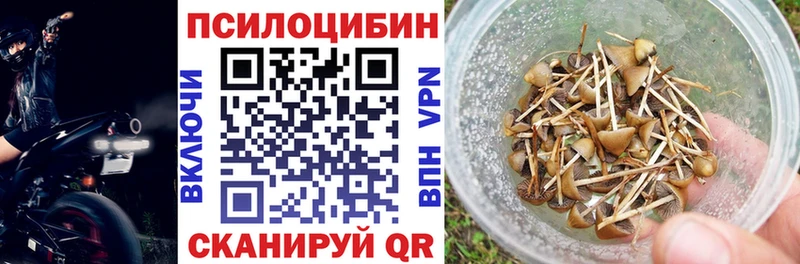 Купить закладки  Лабытнанги  Галлюциногенные грибы мицелий 